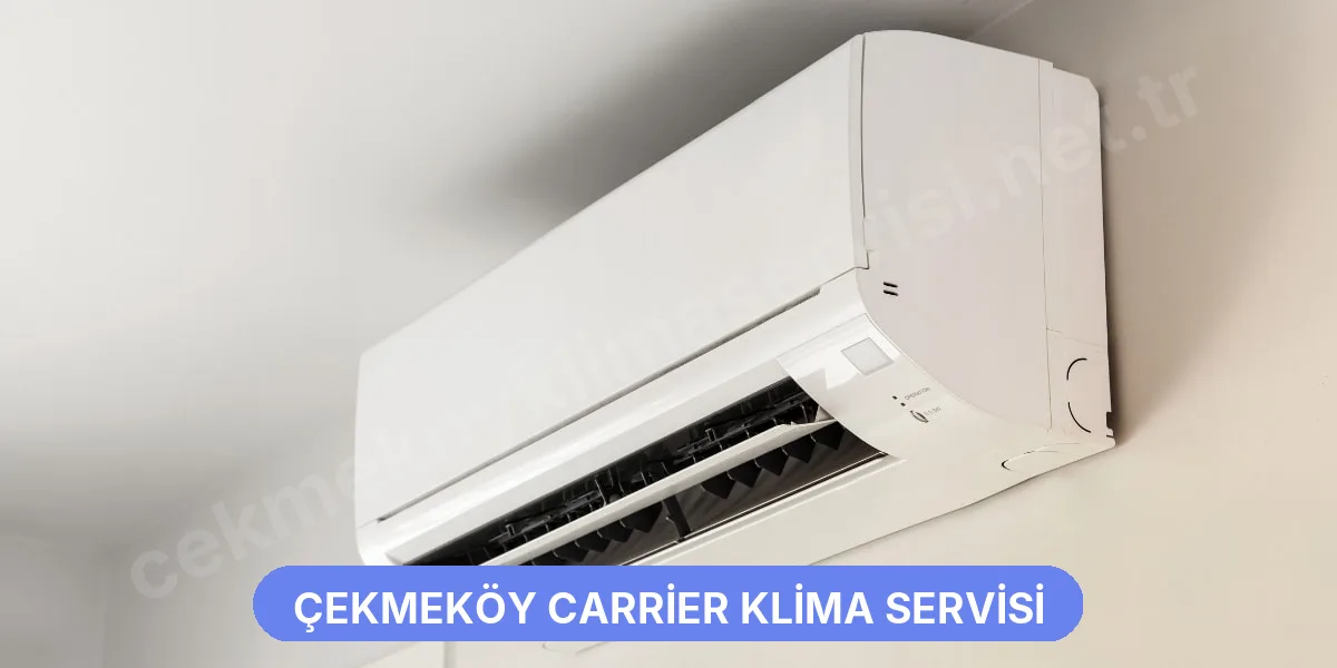 Çekmeköy Carrier Klima Servisi