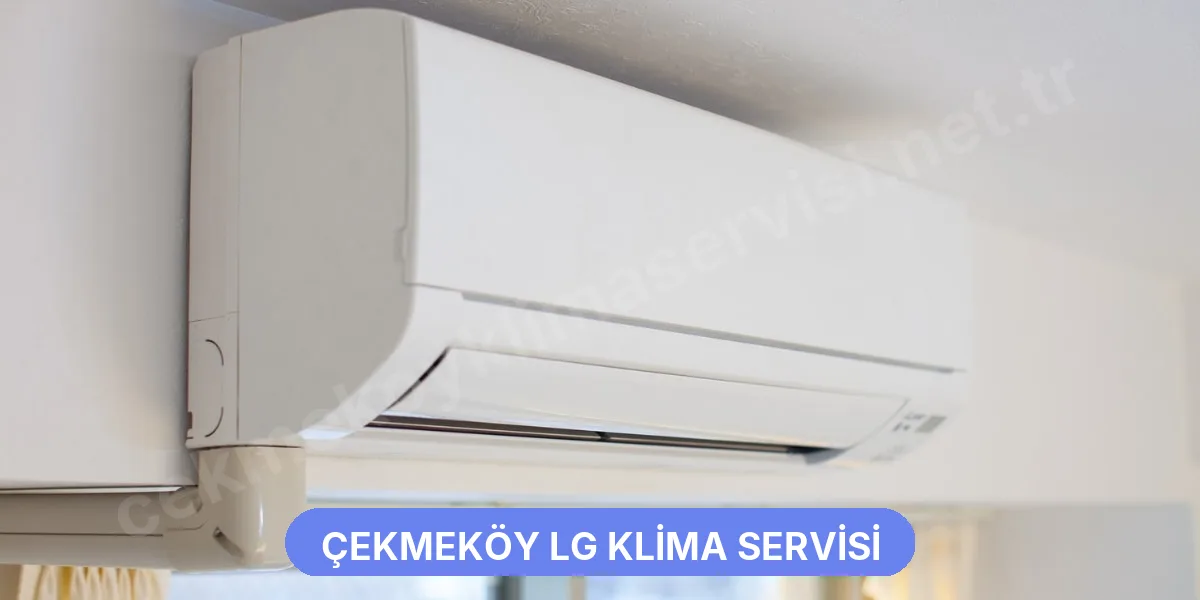 Çekmeköy LG Klima Servisi